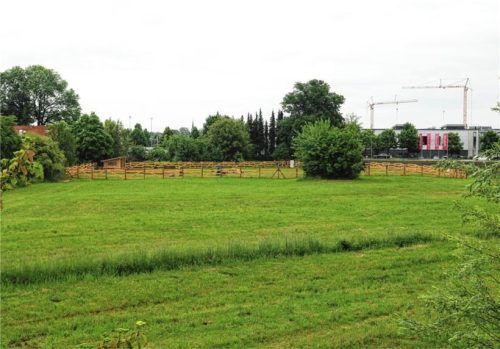 Im Gebiet zwischen der Staatsstraße 2078 und dem Straßenzug Am Waldrand könnte in einigen Jahren eine neue Turnhalle entstehen.Foto  Riediger