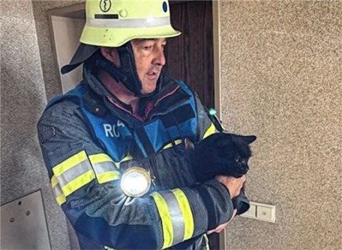 In Sicherheit: Ein Feuerwehrmann rettet auch eine Hauskatze aus der verqualmten Wohnung. Foto PP Oberbayern Süd