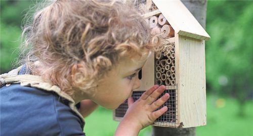 Kinder können im Insektenhotel das Leben der Bewohner beobachten.Foto halfpoint / Panthermedia