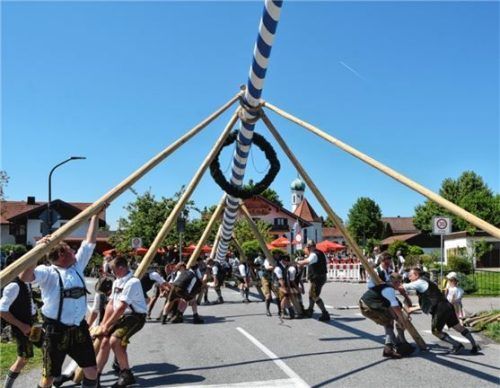 Mit „Irxenschmoiz“ und Geschick wurde der neue Maibaum in Pfraundorf aufgestellt. Foto Ruprecht