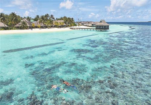 Perfekt, wenn man ein Hausriff einmal rund um seine Insel hat: Im Nova Maldives kann man direkt vom Steg aus losschnorcheln. Fotos Intercontinental Maldives, Nova Maldives, Kandima Maldives, Panthermedia/Markovic/Criso