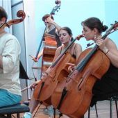 Streicher entfesseln Klangwelten