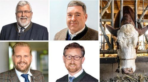 Was muss geschehen, damit Tierdramen, wie jüngst auf Höfen in Bad Aibling und Griesstätt entdeckt, verhindert werden können? Die Landtagsabgeordneten (von links oben im Uhrzeigersinn) Sebastian Friesinger (CSU), Sepp Lausch (Freie Wähler), Andreas Winhart (AfD) und Sascha Schnürer (CSU) nehmen Stellung. Fotos re/DPA