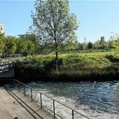 Risiko Surfwelle? Kritik am Projekt wächst