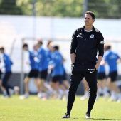 System-Revolution bei den Löwen?