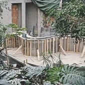 Dschungelwelt nimmt Gestalt an