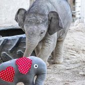 Mach‘s gut, kleiner Otto!