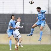 Junglöwen im Attacke-Modus