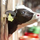 Hilfe für Bauern in Not