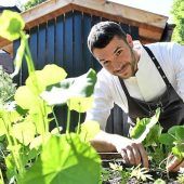 Sterne-Regen über München