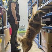 Geldschnüffler vom Dienst