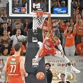 Zurück zu den Wurzeln