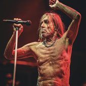 Das rüstige Raubtier