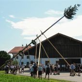 Feuerwehr bringt Hochzeitsbaum