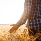 Ackerbau erlebbar machen