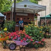 Rund 140 Aussteller im Traunsteiner Stadtpark