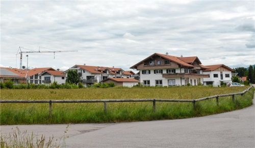 Auf dieser grünen Wiese im Aichfeld könnte das Therapiezentrum in Grassau entstehen. Foto Tamara Eder