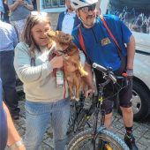 Star-Wars-Socken, Waldi und eine Spitze