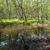 Aus für Landschaftspflegeim Landkreis Rosenheim