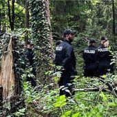 Intensive Spurensuche im Thanner Wald