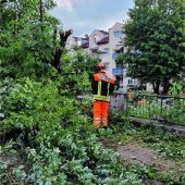 Zellen mit heftigem Regen