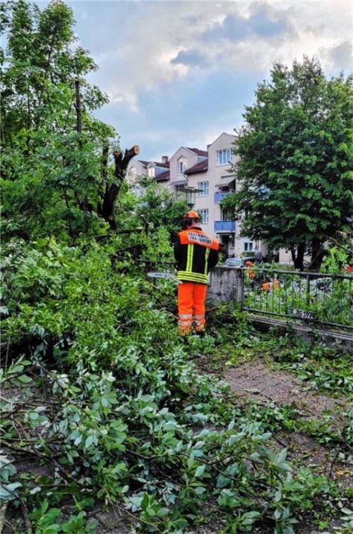 Die Feuerwehren mussten vor allem abgebrochenen Äste beseitigen. Foto re