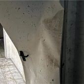 Ein ganzes Jahr im Ausnahmezustand