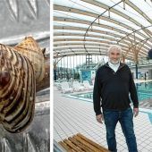 Muschel gefährdet Erlebnisbad