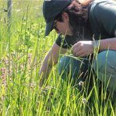 Lernen im Wald und auf der Wiese