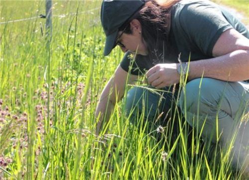 „Die Natur bietet so viel Positives.“