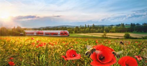 Die Südostbayernbahn setzt sich unter anderem mit mehr als 100 Bienenhotels entlang der Gleise für mehr Arten- und Naturschutz ein.