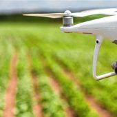 Digitale Revolution auf dem Bauernhof