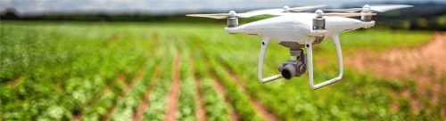 Drohnen können dabei helfen, Dünger oder Pflanzenschutz gezielt einzusetzen.Fotos Adobe stock