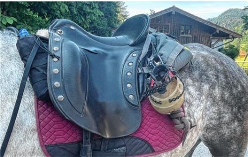 Ein aufgesatteltes Pferd, samt einem speziellen Hufschuh.