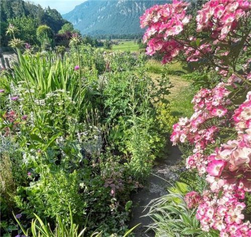 Ein blühendes Paradies: Üppige Stauden, leuchtende Blüten und strukturgebende Gräser machen den Naturgarten in Labach zu einem Rückzugsort für Mensch und Tier. Foto Steffenhagen