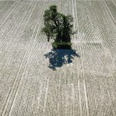 Klimaabkommen völkerrechtlich verbindlich