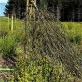 Naturschutz in Bayern am Ende?