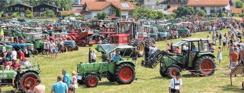 Fachsimpeln, staunen und ratschen – Geselligkeit gehört beim Bulldogtreffen dazu.