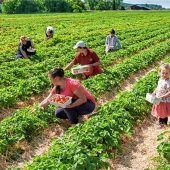 Genuss aus der Region