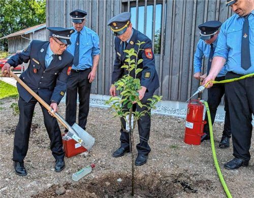 Gemeinsam pflanzten die Feuerwehrleute den Apfelbaum auf der Außenfläche des neuen Feuerwehrhauses in Seeon. Foto  Hobmaier