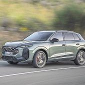 Das zweitbeste Pferd im Stall