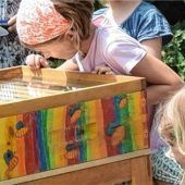 Pfingstferien mit klappernden Mühlrädern und fleißigen Bienen