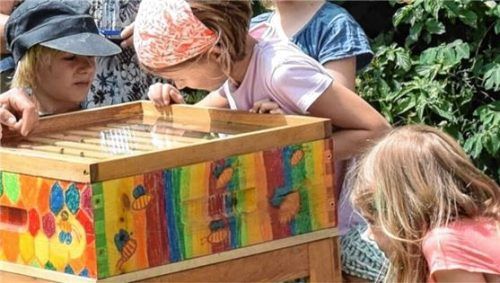 In einem Schaubienenkasten können die Kinder das Bienenvolk bei der Arbeit beobachten.Foto freilichtmuseum amerang