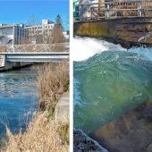 Neue Abteilung für Wellenreiten gegründet