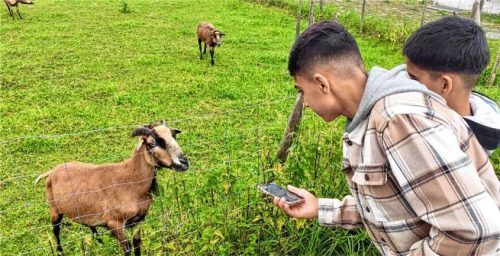 Kommunikationstraining mit Tieren – auch mit dem Smartphone funktionierte das nicht immer ganz problemlos.Foto Kreis Migration Bad Aibling