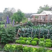 Blicke hinter den Gartenzaun erwünscht