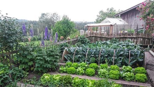 Kreativität trifft in diesem Garten auf Funktionalität. Foto Astrid Gambos