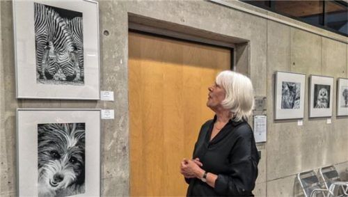 Künstlerin Dagmar Dowdle erläutert ihr Bild, das auch Plakat-Motiv der Ausstellung ist. Foto re