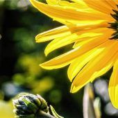 Mit kleinen Maßnahmen Großes bewirken