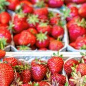 Die Erdbeere ist Deutschlands Lieblingsfrucht